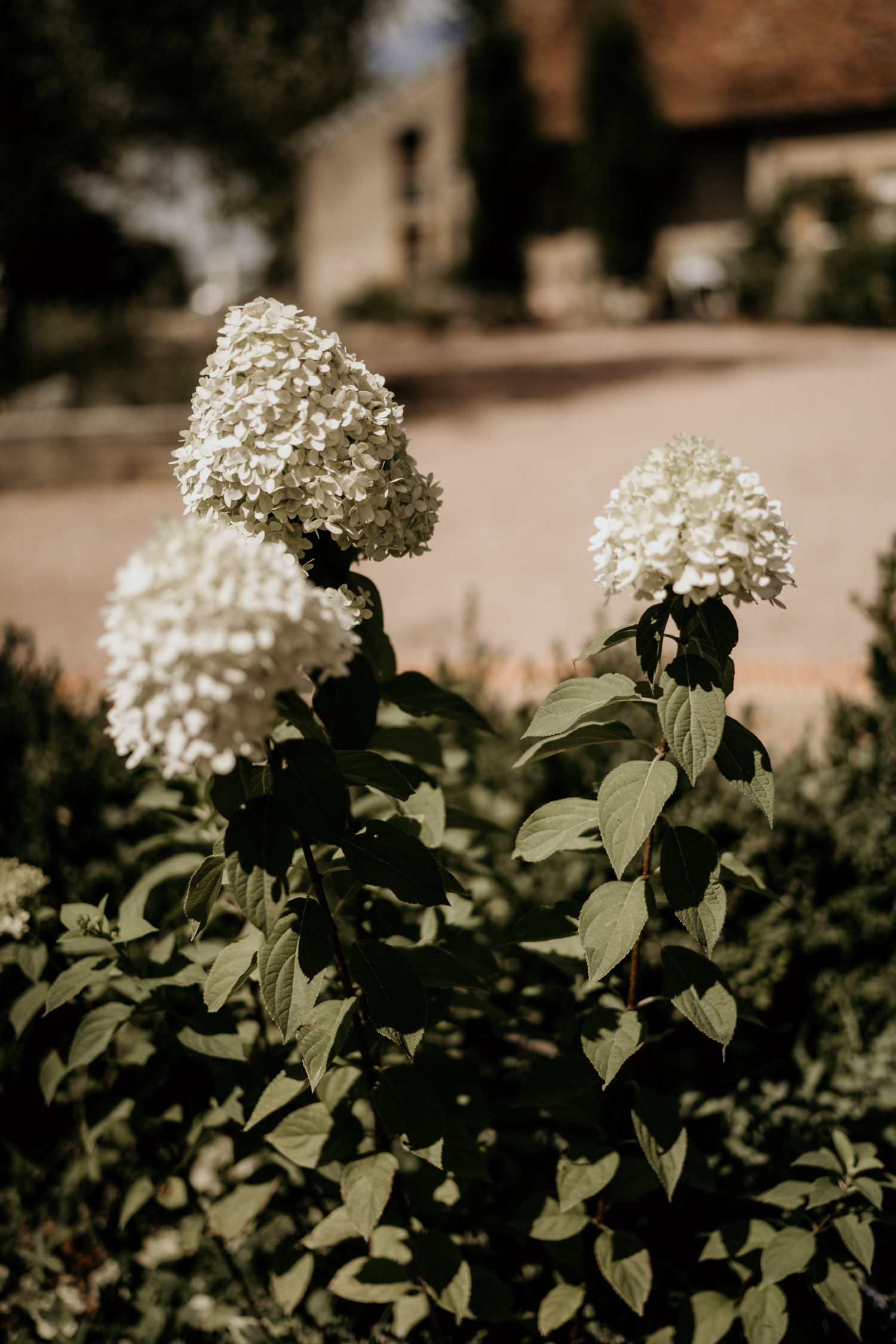 mariage-macon-boheme